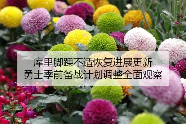 库里脚踝不适恢复进展更新 勇士季前备战计划调整全面观察