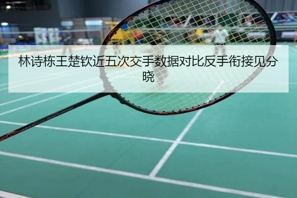 林诗栋王楚钦近五次交手数据对比反手衔接见分晓